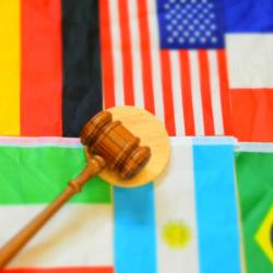 The Interplay of International Law in Immigration and Extradition Cases
